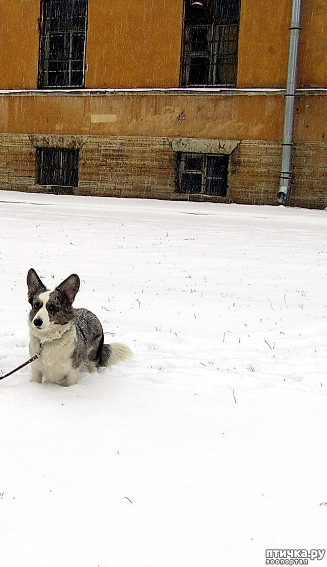 ���� 25: ����, ������, ����