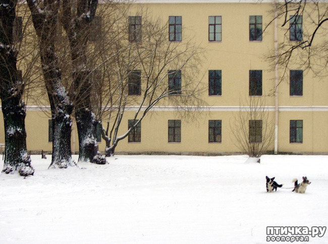 ���� 22: ����, ������, ����