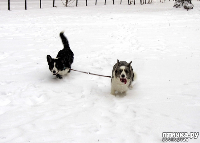 ���� 23: ����, ������, ����