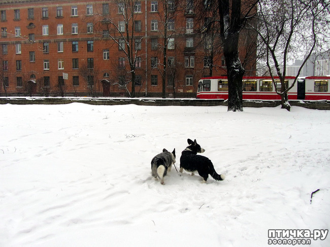 ���� 24: ����, ������, ����