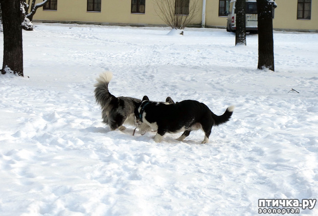 ���� 35: ����, ������, ����