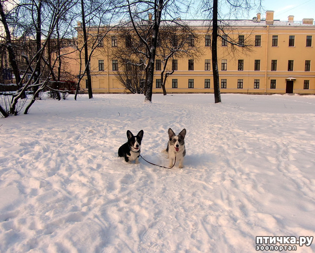 ���� 36: ����, ������, ����