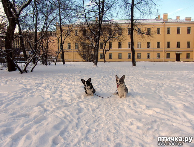 ���� 37: ����, ������, ����