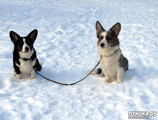 ���� 38: ����, ������, ����