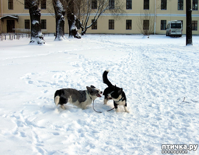 ���� 39: ����, ������, ����