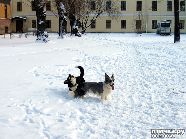 ���� 40: ����, ������, ����