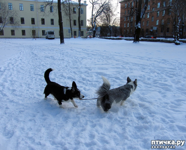 ���� 41: ����, ������, ����