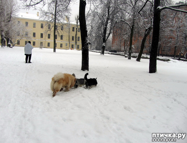 ���� 27: ����, ������, ����