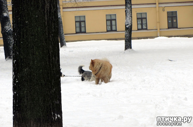 ���� 28: ����, ������, ����