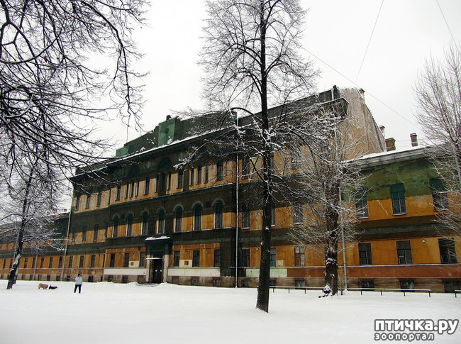 ���� 29: ����, ������, ����