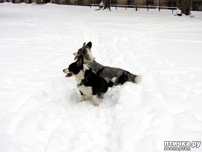 ���� 30: ����, ������, ����