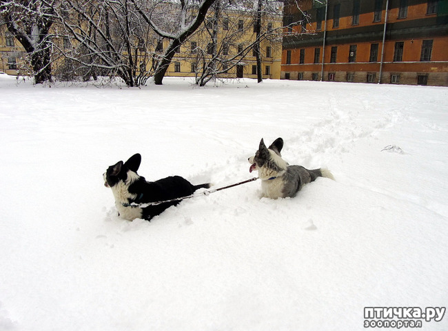 ���� 33: ����, ������, ����