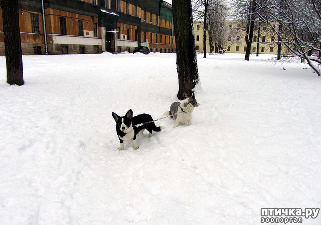 ���� 34: ����, ������, ����