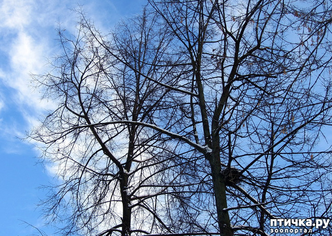 ���� 6: ������ ������. ������ 01.26