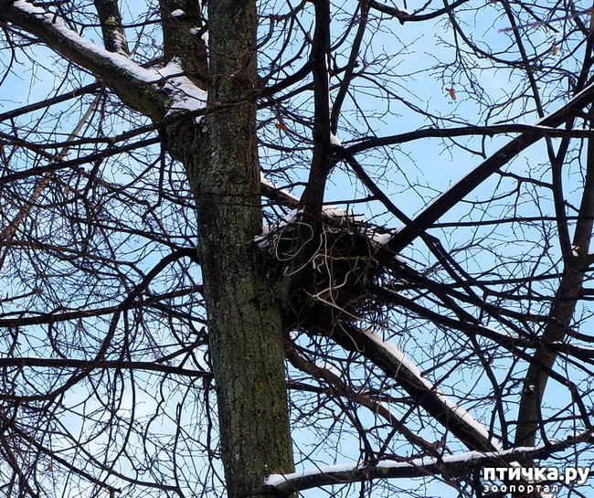 ���� 7: ������ ������. ������ 01.26