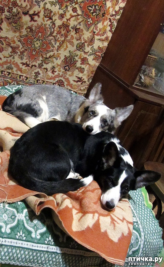 ���� 1: ������ ������. ������ 01.26