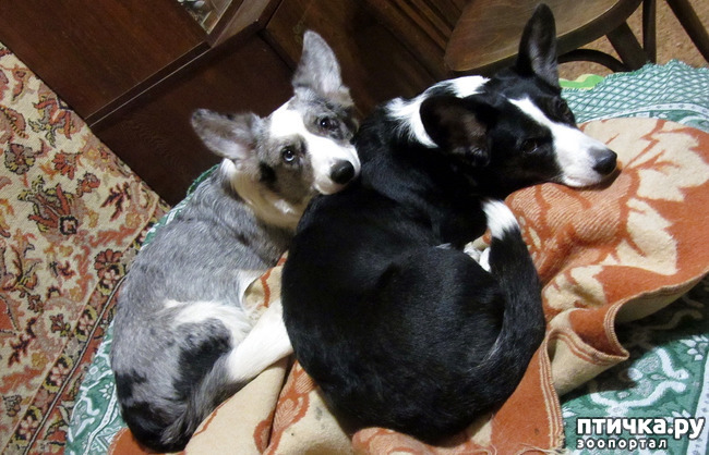 ���� 2: ������ ������. ������ 01.26