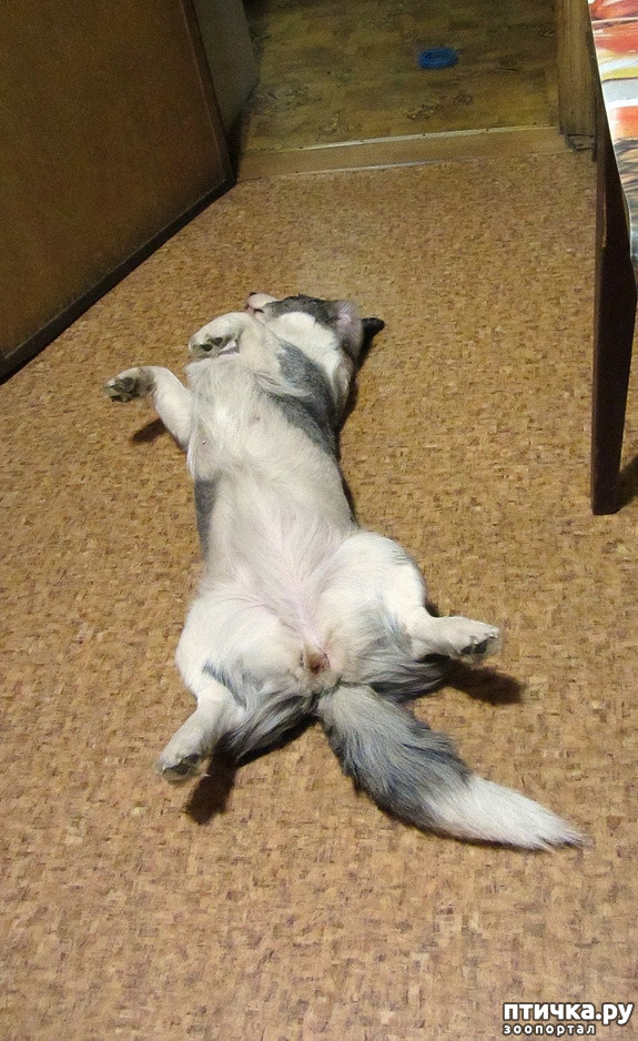 ���� 3: ������ ������. ������ 01.26