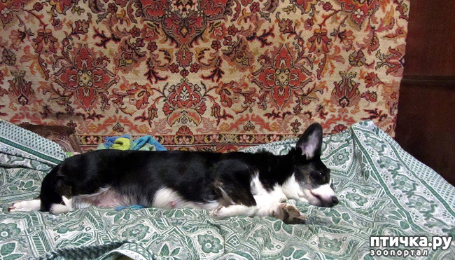 ���� 4: ������ ������. ������ 01.26