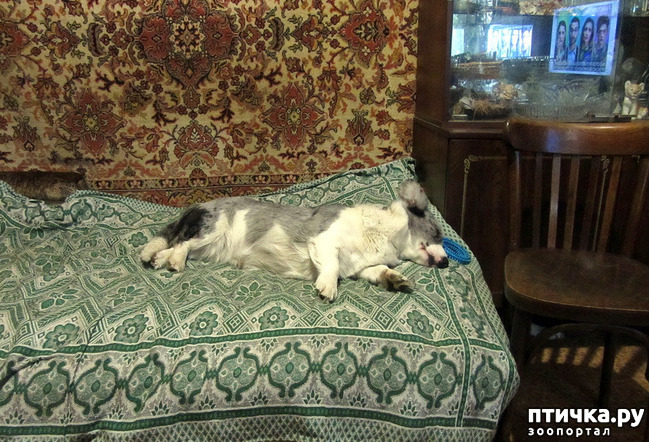 ���� 5: ������ ������. ������ 01.26