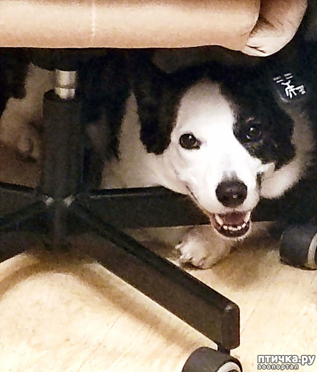 ���� 1: ������� �� �������