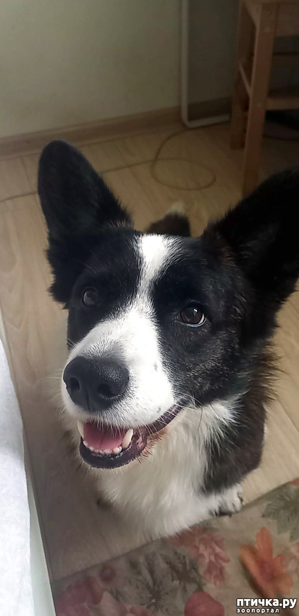 ���� 3: ������� �� �������