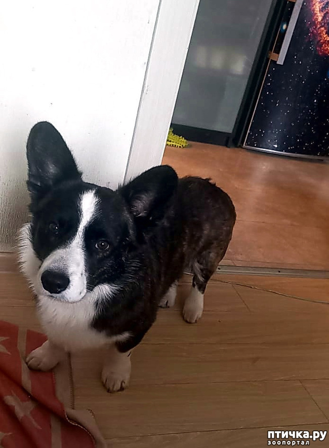 ���� 4: ������� �� �������