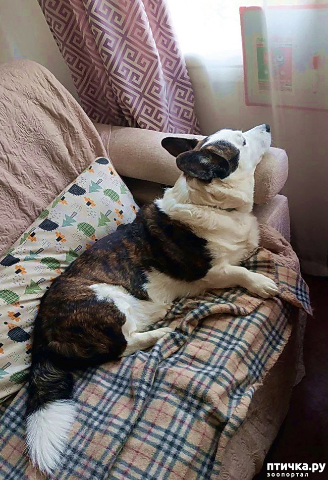 ���� 2: ������� �� �������