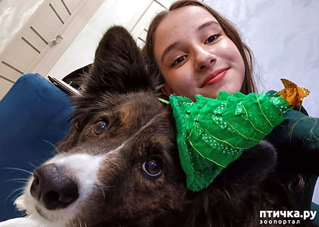 ���� 6: ������� �� �������