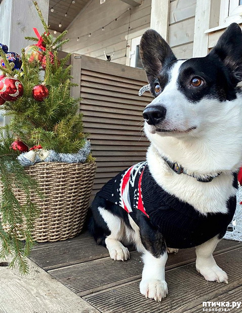 ���� 7: ������� �� �������