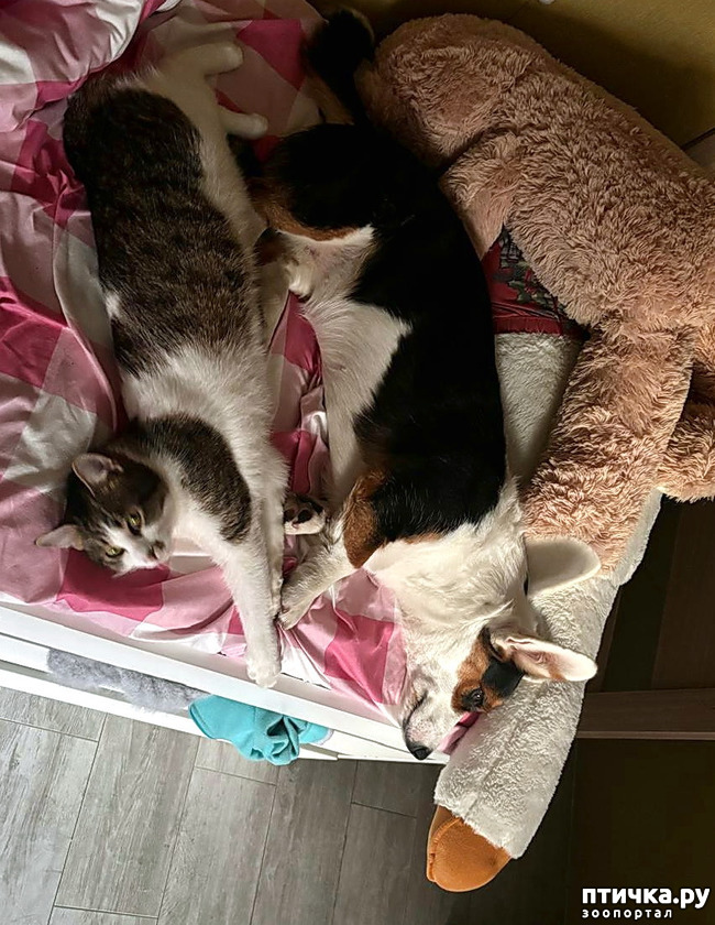 ���� 8: ������� �� �������