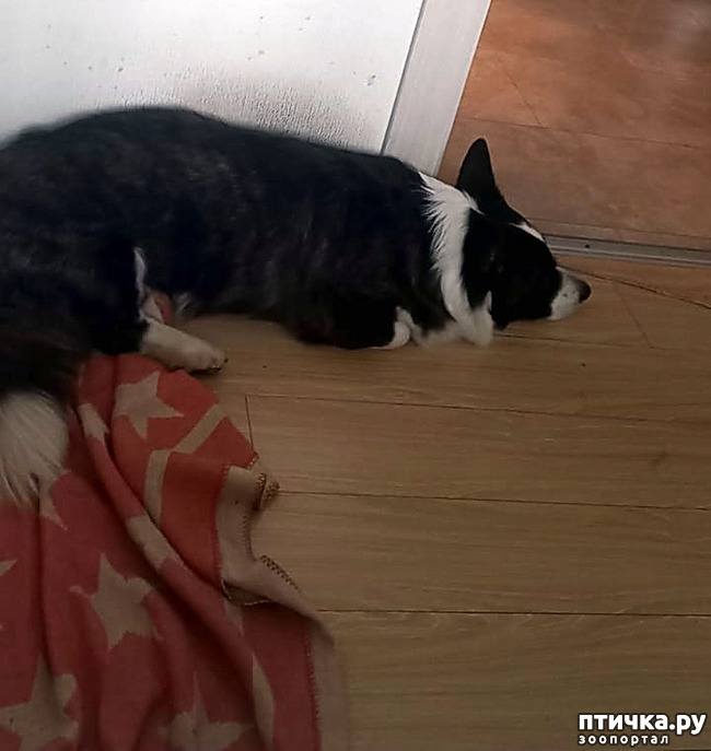 ���� 5: ������� �� �������