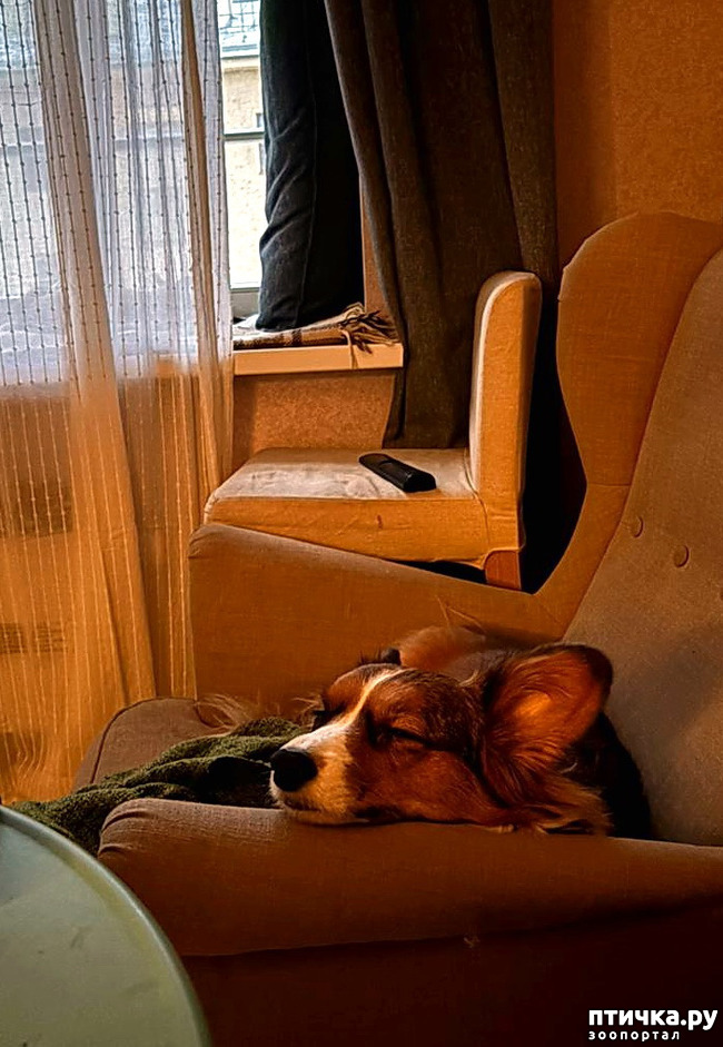 ���� 9: ������� �� �������