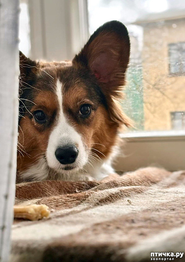 ���� 10: ������� �� �������