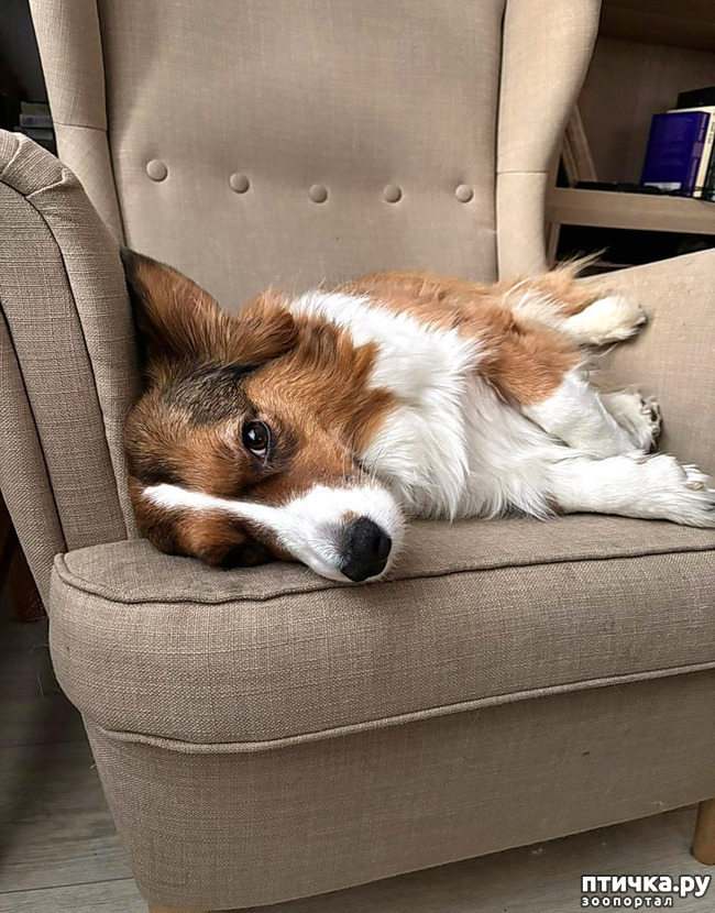 ���� 11: ������� �� �������