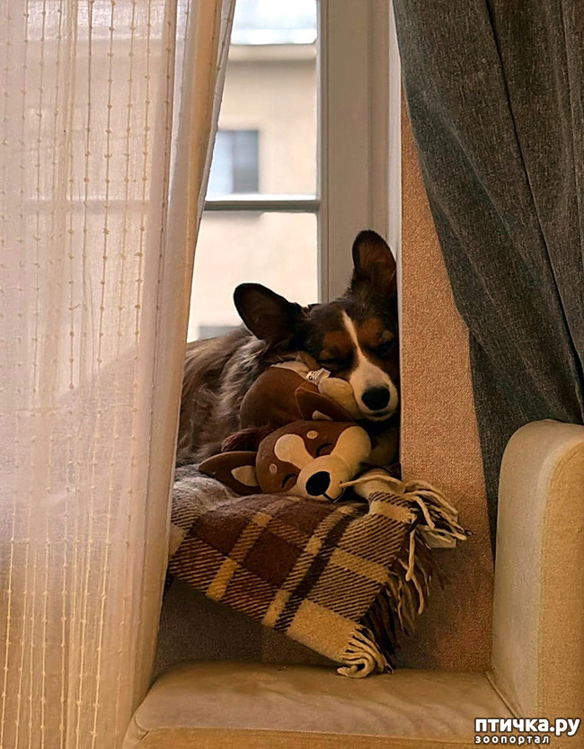 ���� 12: ������� �� �������