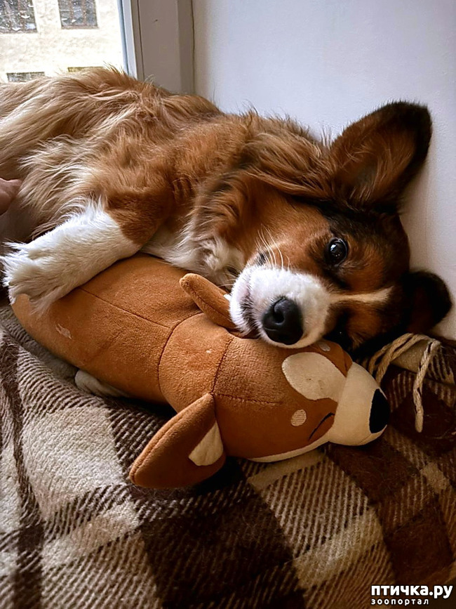 ���� 13: ������� �� �������