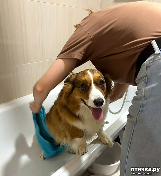 ���� 14: ������� �� �������