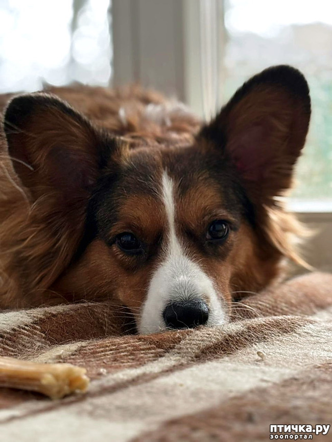 ���� 15: ������� �� �������