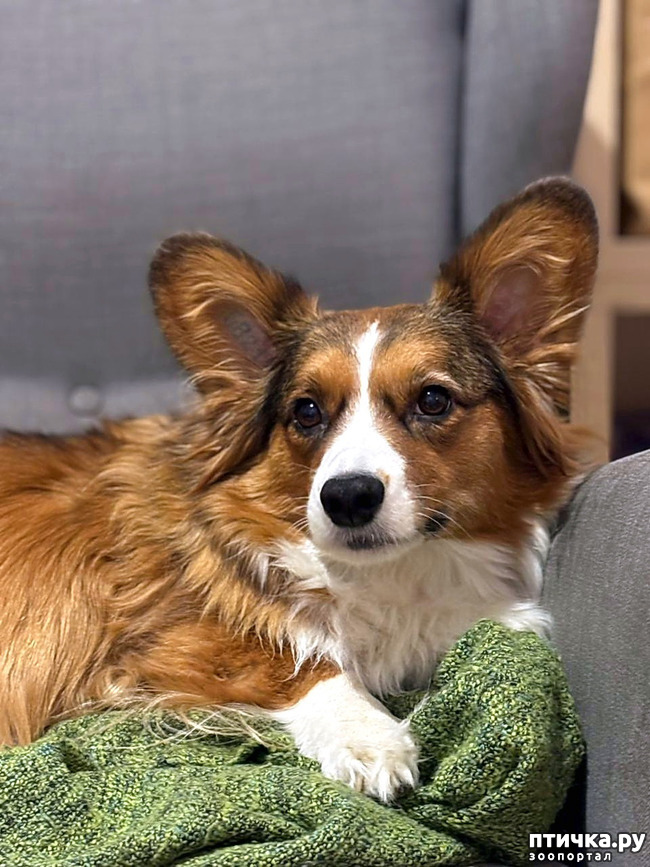 ���� 16: ������� �� �������