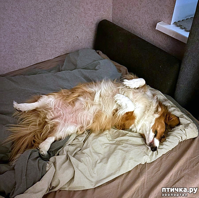 ���� 17: ������� �� �������