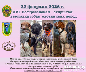 фотография: Выставка фото: Выставка