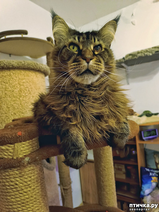 ���� 1: �������