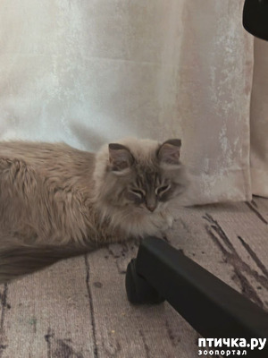 ����: � ���� ������� ������� ����