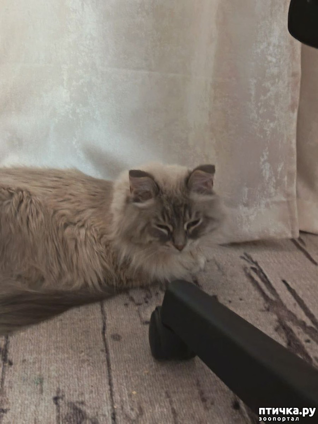 ���� 1: � ���� ������� ������� ����