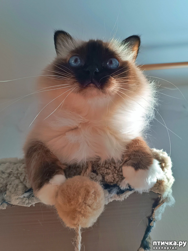 ���� 1: ���� �����