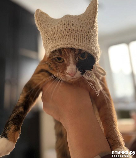 ���� 3: ������ - ����� ���� �����!