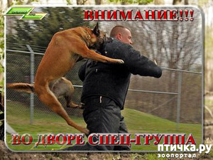 фотография: Ко Дню защитника фото: Ко Дню защитника