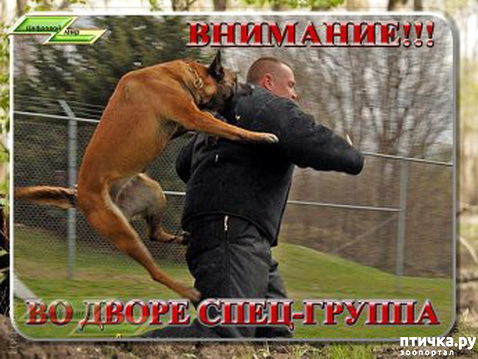 ���� 1: �� ��� ���������