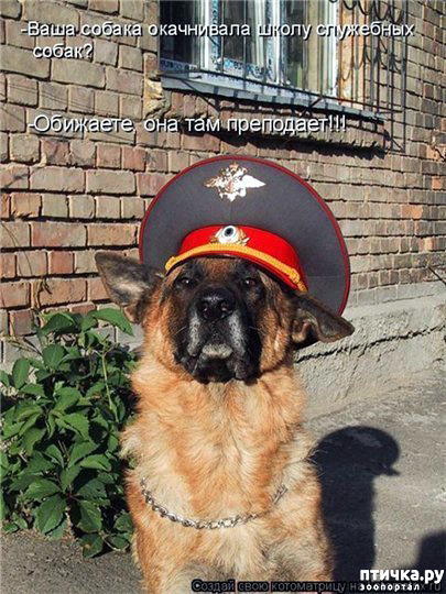 ���� 2: �� ��� ���������